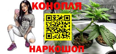 прущие крисы Кулебаки
