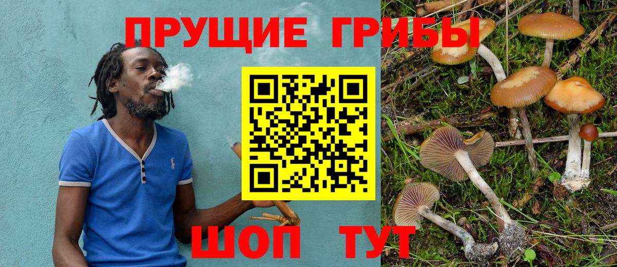 Ярцево  Галлюциногенные грибы GOLDEN TEACHER  где можно купить наркотик  Вход с VPN 