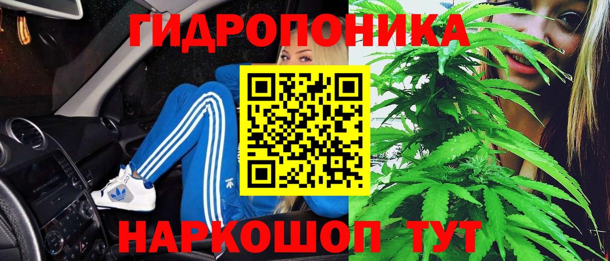 МАРИХУАНА план  Марихуана тримм  Вход с VPN  Ярцево 